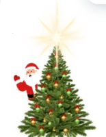 Grand Illumination with Santa!  Join us as we light up our gardens with beautiful Christmas lights! 